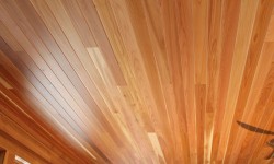 Cedar paneling-Contemporary collection