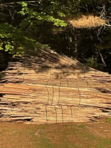 Kindling Bundles for Sale