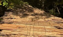 Kindling Bundles